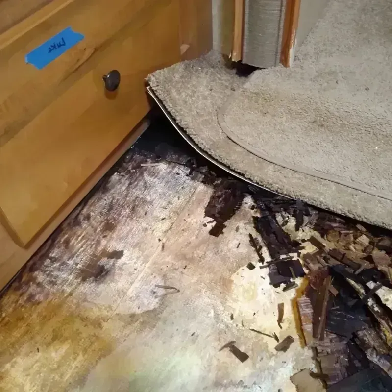 Best Wood Floor Water Damage Service in Humboldt, IA